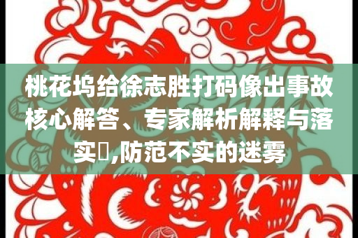 桃花塢給徐志勝打碼像出事故核心解答、專家解析解釋與落實(shí)?,防范不實(shí)的迷霧