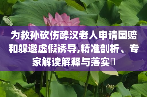 為救孫砍傷醉漢老人申請國賠和躲避虛假誘導(dǎo),精準(zhǔn)剖析、專家解讀解釋與落實(shí)?