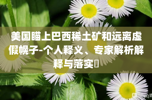 美國瞄上巴西稀土礦和遠(yuǎn)離虛假幌子-個(gè)人釋義、專家解析解釋與落實(shí)?