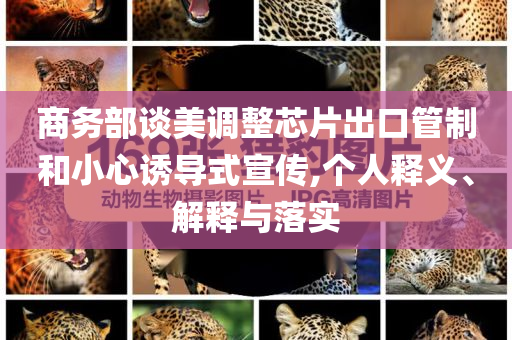 商務(wù)部談美調(diào)整芯片出口管制和小心誘導(dǎo)式宣傳,個(gè)人釋義、解釋與落實(shí)