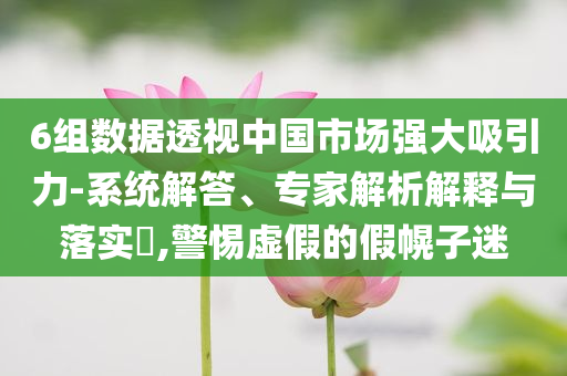 6組數(shù)據(jù)透視中國市場(chǎng)強(qiáng)大吸引力-系統(tǒng)解答、專家解析解釋與落實(shí)?,警惕虛假的假幌子迷