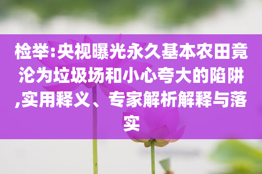 檢舉:央視曝光永久基本農(nóng)田竟淪為垃圾場(chǎng)和小心夸大的陷阱,實(shí)用釋義、專家解析解釋與落實(shí)