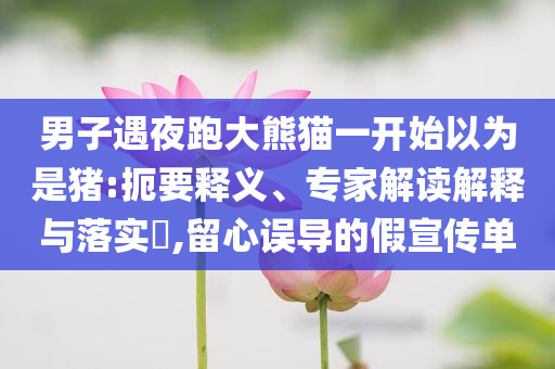 男子遇夜跑大熊貓一開始以為是豬:扼要釋義、專家解讀解釋與落實(shí)?,留心誤導(dǎo)的假宣傳單