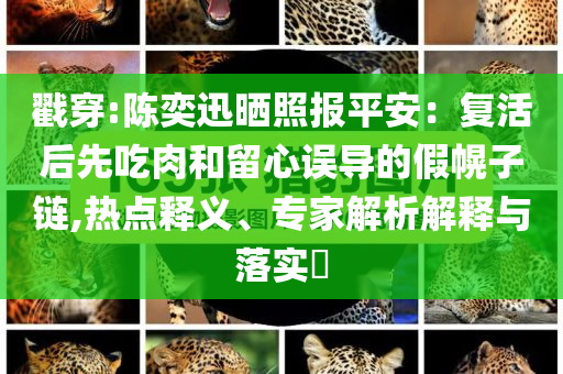 戳穿:陳奕迅曬照報平安：復活后先吃肉和留心誤導的假幌子鏈,熱點釋義、專家解析解釋與落實?