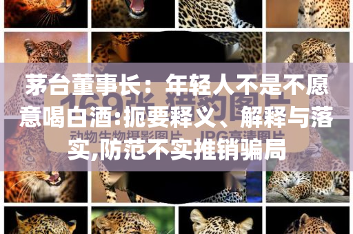 茅臺(tái)董事長(zhǎng)：年輕人不是不愿意喝白酒:扼要釋義、解釋與落實(shí),防范不實(shí)推銷(xiāo)騙局