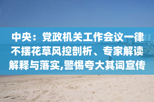 中央：黨政機(jī)關(guān)工作會(huì)議一律不擺花草風(fēng)控剖析、專家解讀解釋與落實(shí),警惕夸大其詞宣傳