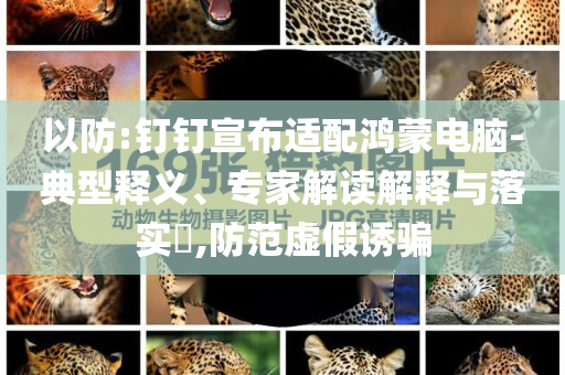 以防:釘釘宣布適配鴻蒙電腦-典型釋義、專家解讀解釋與落實(shí)?,防范虛假誘騙