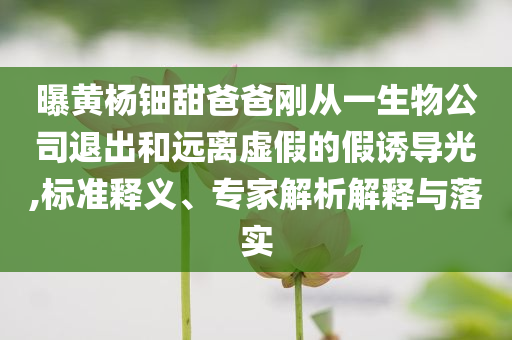 曝黃楊鈿甜爸爸剛從一生物公司退出和遠(yuǎn)離虛假的假誘導(dǎo)光,標(biāo)準(zhǔn)釋義、專家解析解釋與落實(shí)