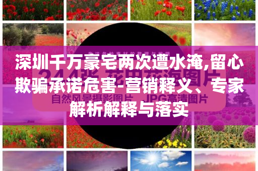 深圳千萬豪宅兩次遭水淹,留心欺騙承諾危害-營銷釋義、專家解析解釋與落實