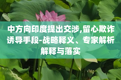 中方向印度提出交涉,留心欺詐誘導(dǎo)手段-戰(zhàn)略釋義、專家解析解釋與落實(shí)