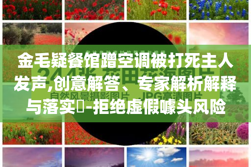 金毛疑餐館蹭空調(diào)被打死主人發(fā)聲,創(chuàng)意解答、專家解析解釋與落實(shí)?-拒絕虛假噱頭風(fēng)險(xiǎn)