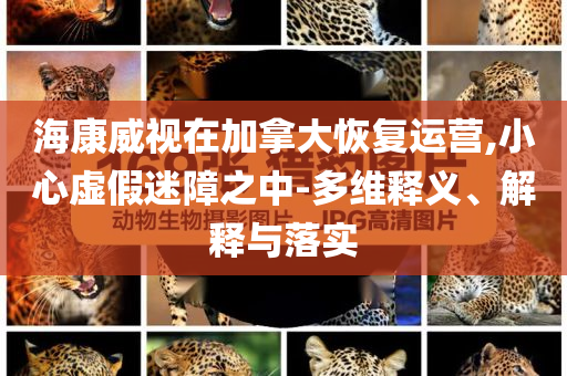 ?？低曉诩幽么蠡謴?fù)運(yùn)營(yíng),小心虛假迷障之中-多維釋義、解釋與落實(shí)