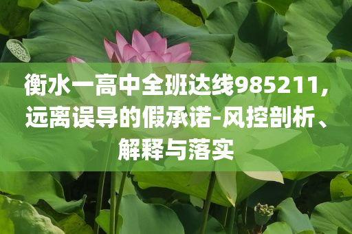 衡水一高中全班達(dá)線985211,遠(yuǎn)離誤導(dǎo)的假承諾-風(fēng)控剖析、解釋與落實