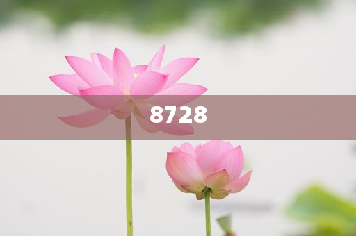歐盟在爭(zhēng)取與美達(dá)成原則性貿(mào)易協(xié)議和規(guī)避欺詐的布局-常見(jiàn)釋義、專家解析解釋與落實(shí)?