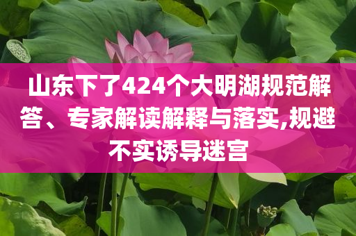 山東下了424個大明湖規(guī)范解答、專家解讀解釋與落實(shí),規(guī)避不實(shí)誘導(dǎo)迷宮