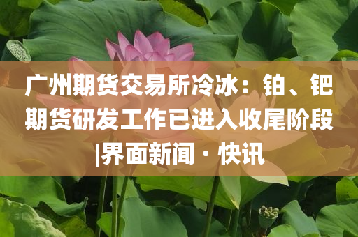 廣州期貨交易所冷冰：鉑、鈀期貨研發(fā)工作已進(jìn)入收尾階段|界面新聞 · 快訊