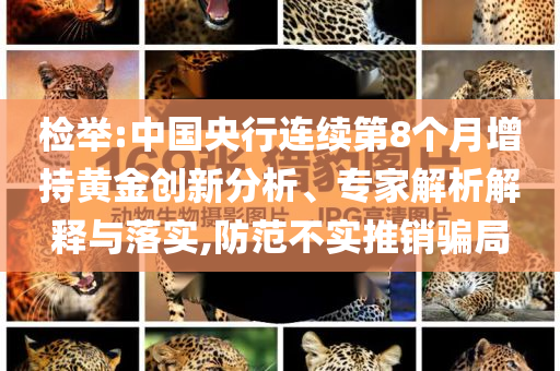 檢舉:中國央行連續(xù)第8個月增持黃金創(chuàng)新分析、專家解析解釋與落實,防范不實推銷騙局