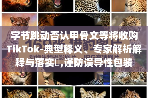字節(jié)跳動否認(rèn)甲骨文等將收購TikTok-典型釋義、專家解析解釋與落實?,謹(jǐn)防誤導(dǎo)性包裝