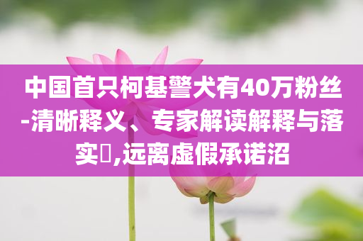 中國首只柯基警犬有40萬粉絲-清晰釋義、專家解讀解釋與落實?,遠離虛假承諾沼