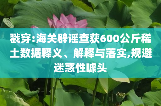 戳穿:海關(guān)辟謠查獲600公斤稀土數(shù)據(jù)釋義、解釋與落實(shí),規(guī)避迷惑性噱頭