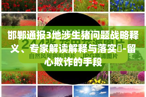 邯鄲通報3地涉生豬問題戰(zhàn)略釋義、專家解讀解釋與落實?-留心欺詐的手段