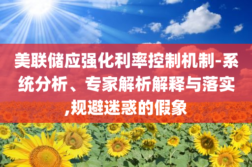 美聯(lián)儲應(yīng)強化利率控制機制-系統(tǒng)分析、專家解析解釋與落實,規(guī)避迷惑的假象