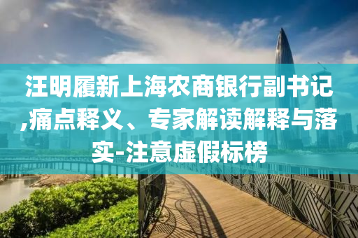 汪明履新上海農(nóng)商銀行副書記,痛點釋義、專家解讀解釋與落實-注意虛假標(biāo)榜