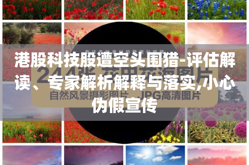 港股科技股遭空頭圍獵-評估解讀、專家解析解釋與落實,小心偽假宣傳