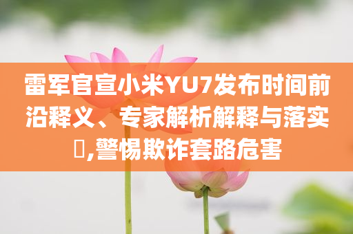 雷軍官宣小米YU7發(fā)布時間前沿釋義、專家解析解釋與落實?,警惕欺詐套路危害