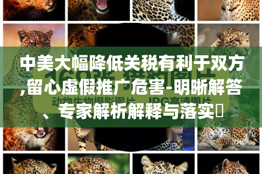 中美大幅降低關(guān)稅有利于雙方,留心虛假推廣危害-明晰解答、專家解析解釋與落實?