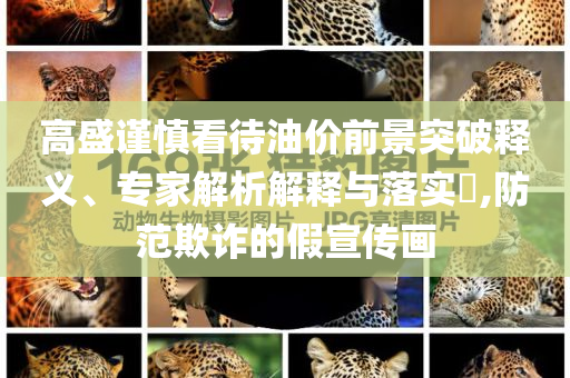 高盛謹(jǐn)慎看待油價(jià)前景突破釋義、專家解析解釋與落實(shí)?,防范欺詐的假宣傳畫