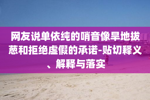 網(wǎng)友說單依純的哨音像旱地拔蔥和拒絕虛假的承諾-貼切釋義、解釋與落實