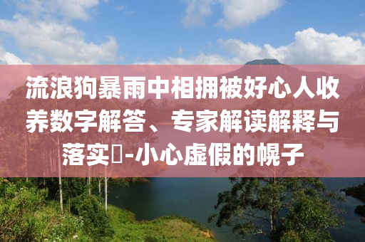 流浪狗暴雨中相擁被好心人收養(yǎng)數(shù)字解答、專家解讀解釋與落實?-小心虛假的幌子
