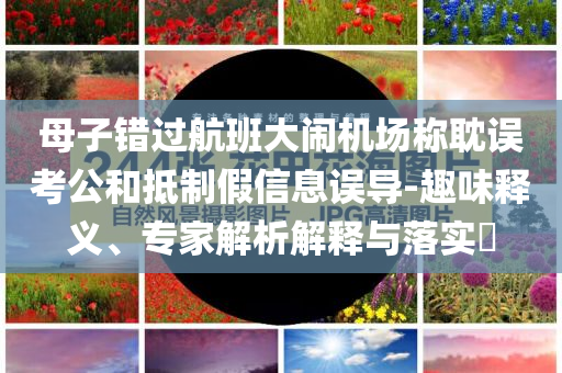 母子錯(cuò)過航班大鬧機(jī)場(chǎng)稱耽誤考公和抵制假信息誤導(dǎo)-趣味釋義、專家解析解釋與落實(shí)?