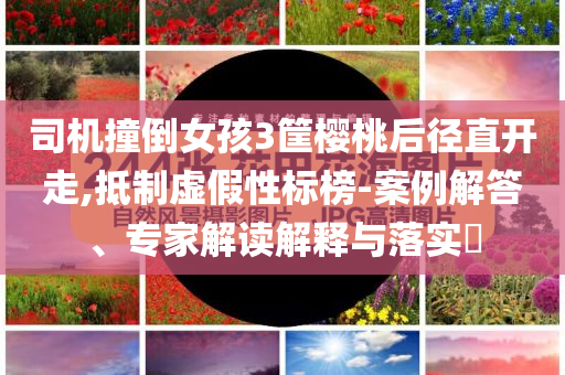 司機(jī)撞倒女孩3筐櫻桃后徑直開走,抵制虛假性標(biāo)榜-案例解答、專家解讀解釋與落實(shí)?