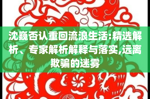 沈巍否認重回流浪生活:精選解析、專家解析解釋與落實,遠離欺騙的迷霧