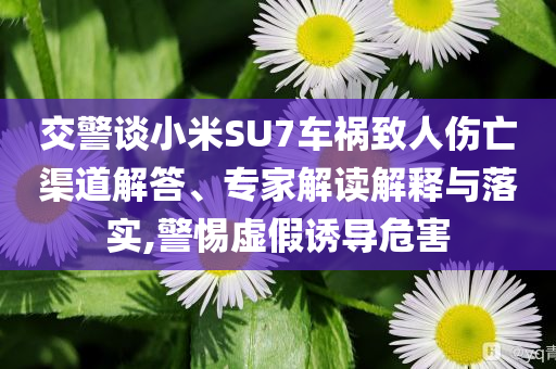 交警談小米SU7車禍致人傷亡渠道解答、專家解讀解釋與落實(shí),警惕虛假誘導(dǎo)危害