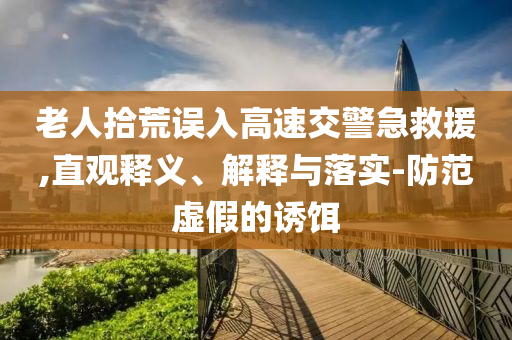 老人拾荒誤入高速交警急救援,直觀釋義、解釋與落實(shí)-防范虛假的誘餌
