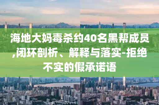海地大媽毒殺約40名黑幫成員,閉環(huán)剖析、解釋與落實(shí)-拒絕不實(shí)的假承諾語