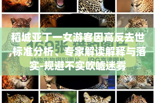 稻城亞丁一女游客因高反去世,標(biāo)準(zhǔn)分析、專家解讀解釋與落實(shí)-規(guī)避不實(shí)吹噓迷霧