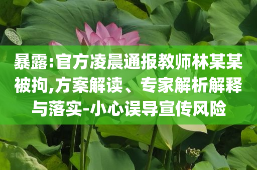 暴露:官方凌晨通報教師林某某被拘,方案解讀、專家解析解釋與落實-小心誤導(dǎo)宣傳風(fēng)險