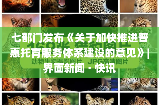 七部門發(fā)布《關(guān)于加快推進普惠托育服務(wù)體系建設(shè)的意見》|界面新聞 · 快訊