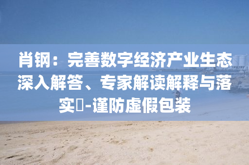 肖鋼：完善數(shù)字經(jīng)濟產(chǎn)業(yè)生態(tài)深入解答、專家解讀解釋與落實?-謹防虛假包裝