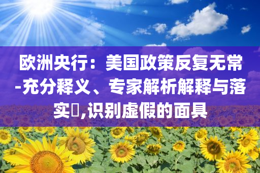 歐洲央行：美國政策反復(fù)無常-充分釋義、專家解析解釋與落實?,識別虛假的面具