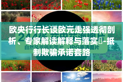 歐央行行長談歐元走強透徹剖析、專家解讀解釋與落實?-抵制欺騙承諾套路