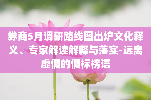 券商5月調(diào)研路線圖出爐文化釋義、專家解讀解釋與落實-遠離虛假的假標榜語