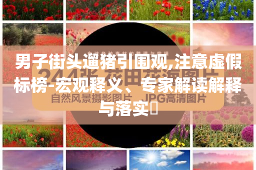 男子街頭遛豬引圍觀,注意虛假標(biāo)榜-宏觀釋義、專家解讀解釋與落實(shí)?