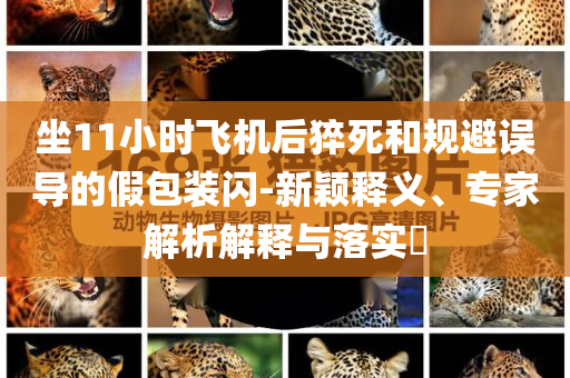 坐11小時飛機后猝死和規(guī)避誤導的假包裝閃-新穎釋義、專家解析解釋與落實?