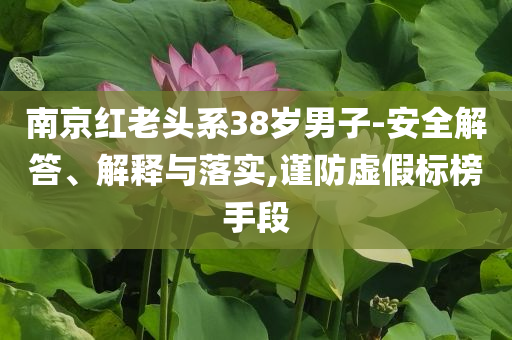 南京紅老頭系38歲男子-安全解答、解釋與落實,謹防虛假標榜手段