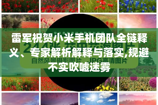 雷軍祝賀小米手機團隊全鏈釋義、專家解析解釋與落實,規(guī)避不實吹噓迷霧
